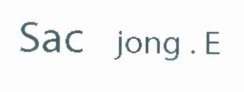 SAC JONG.E