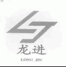 龙进