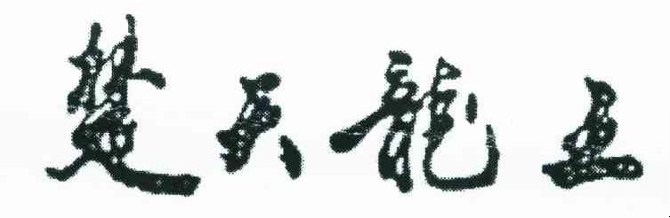 楚天龙王