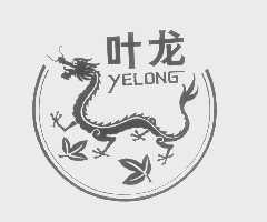 叶龙