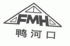 鸭河口;FMH