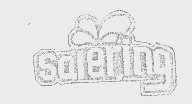SALERING
