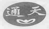 通天
