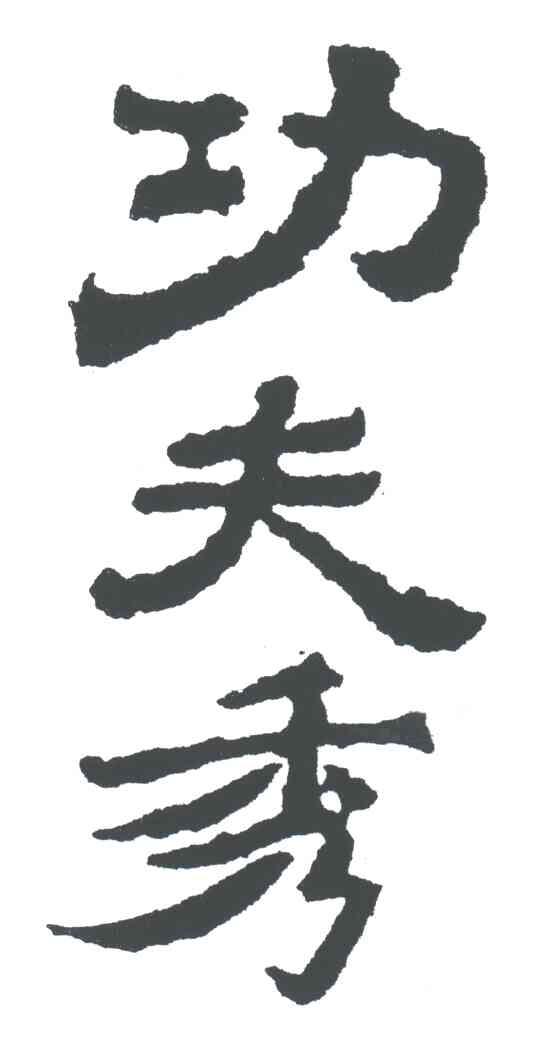 功夫秀;