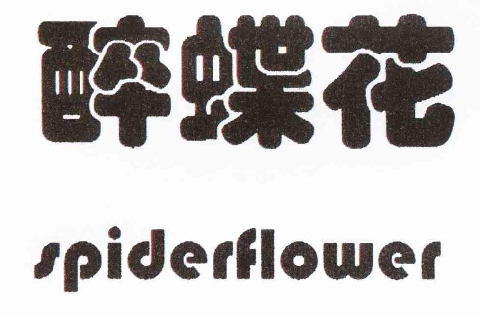 醉蝶花 SPIDERFLOWER