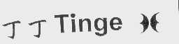 丁丁   TINGE