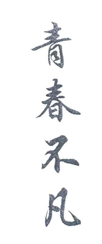 青春不凡