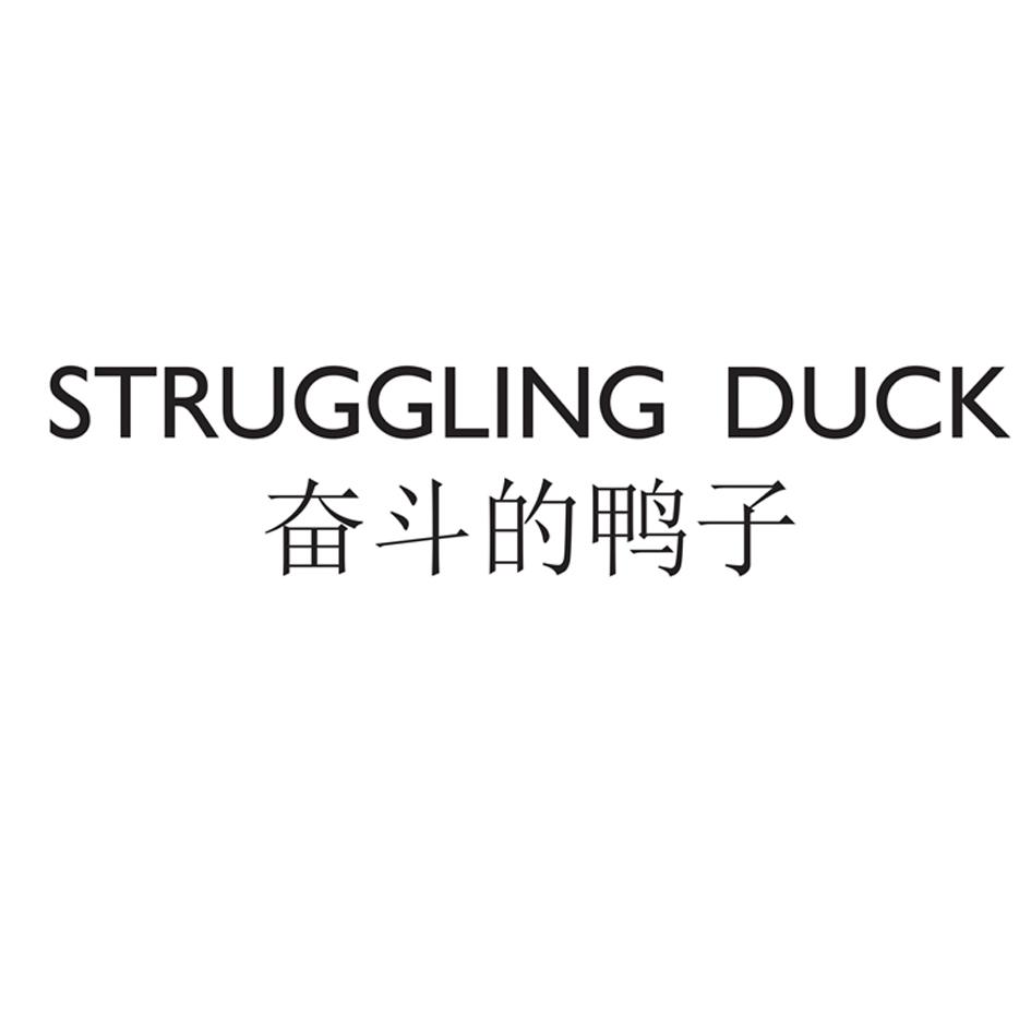奋斗的鸭子  STRUGGLING DUCK