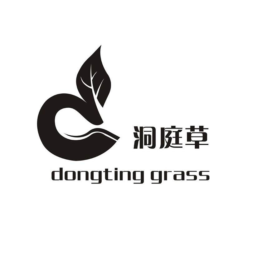 洞庭草 DONGTING GRASS