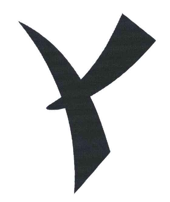Y