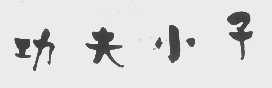 功夫小子