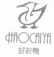 好彩鸭