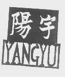 阳宇