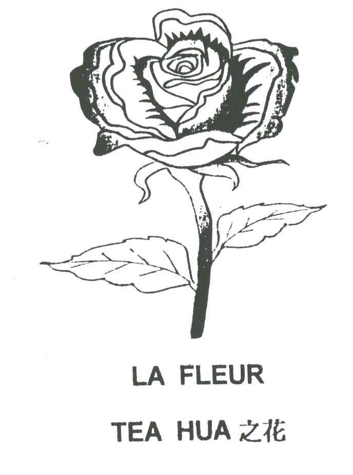 LA FLEUR TEA HUA;之花