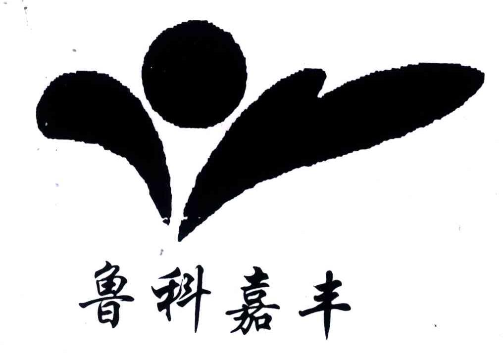 鲁科嘉丰