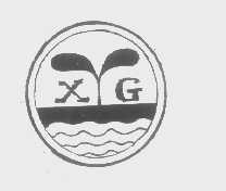 XG