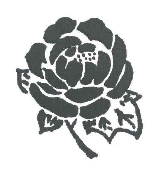 图形