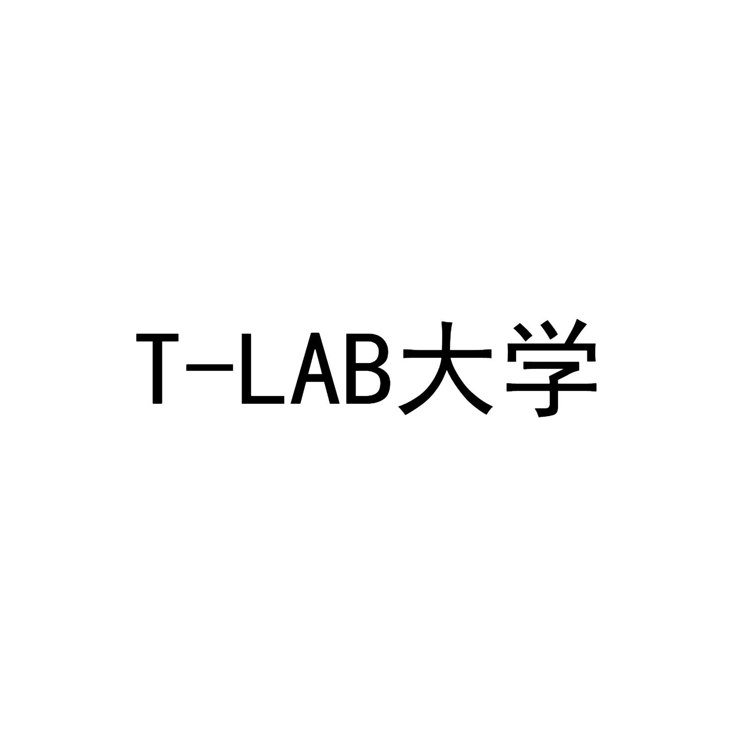 T-LAB 大学