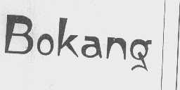 BOKANG