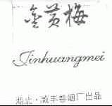 金黄梅