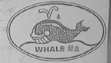 鲸鱼    WHALE