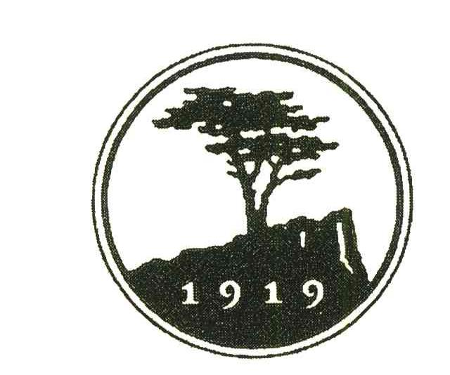 1919