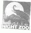 NIGHT ZOO