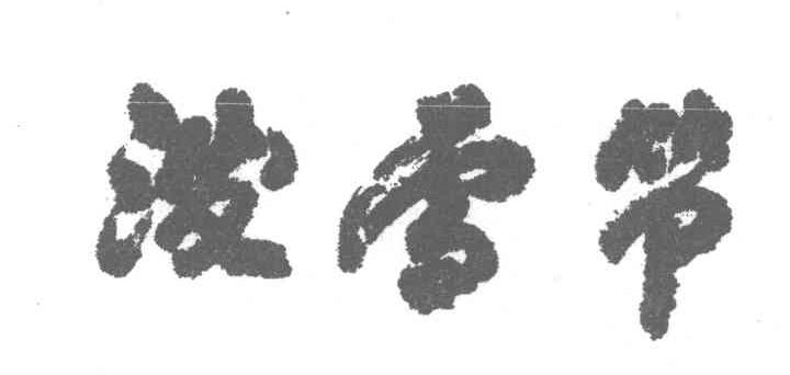 泼雪节