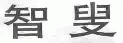 智叟