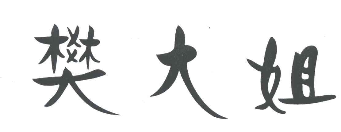 樊大姐