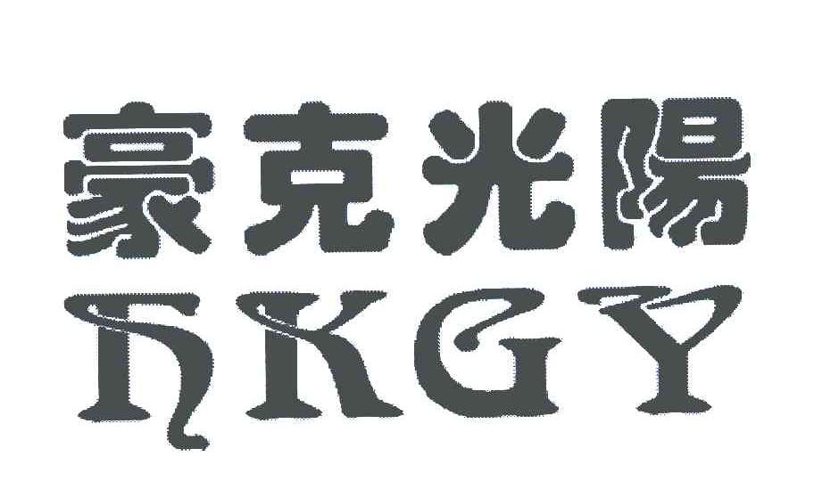 豪克光阳;HKGY