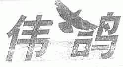 伟鸽
