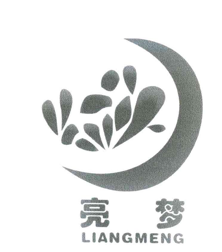 亮梦