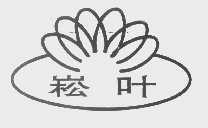 崧叶