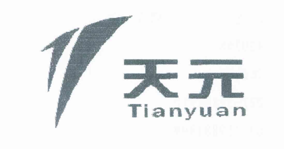 天元