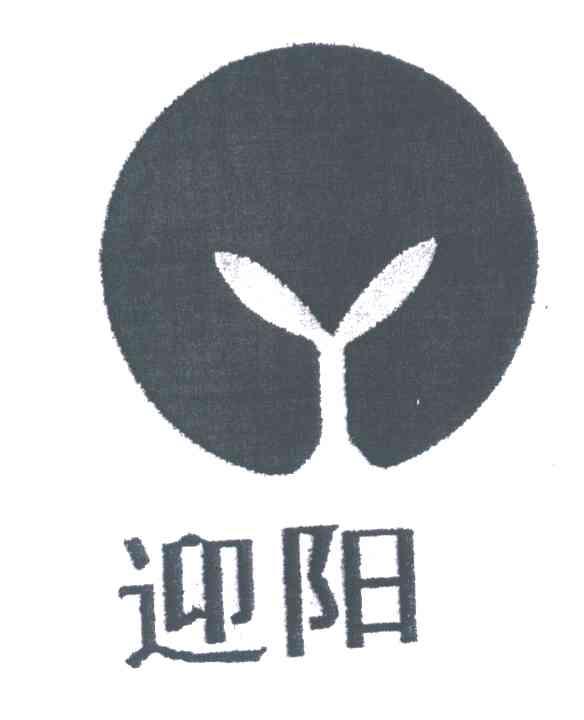 迎阳