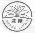 盛良;SHENG LINAG
