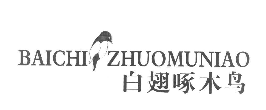 白翅啄木鸟