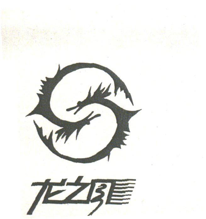 龙之风