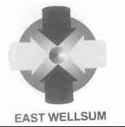 EAST WELLSUM