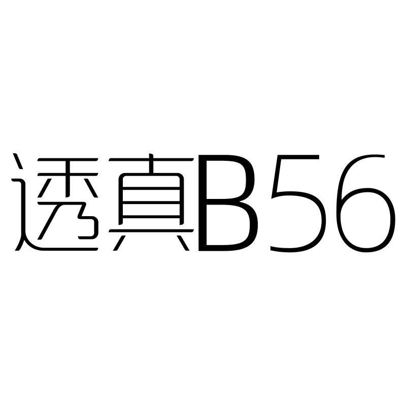 透真 B 56