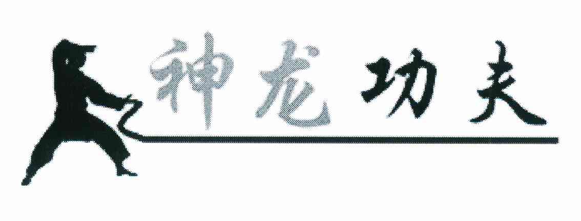 神龙功夫