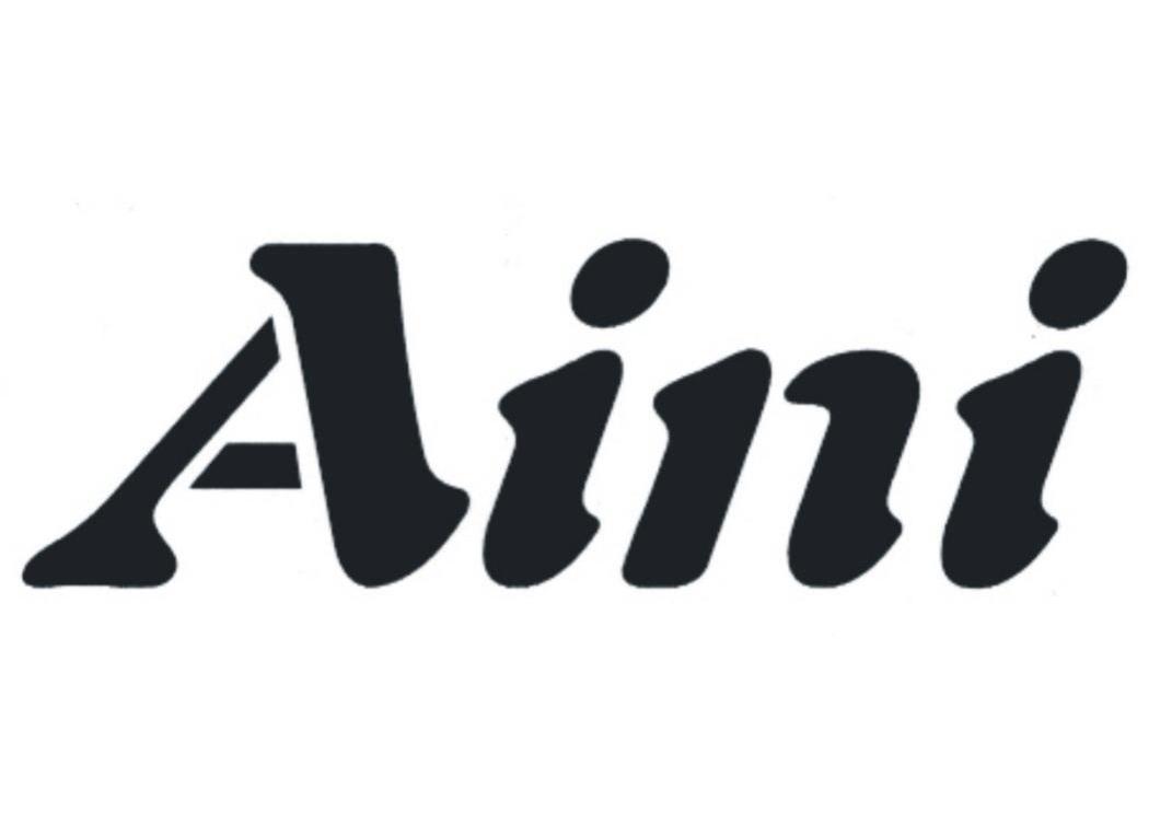 AINI