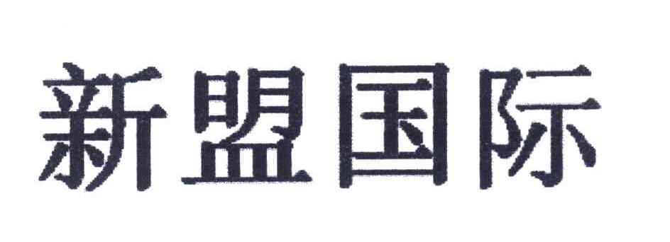 新盟国际