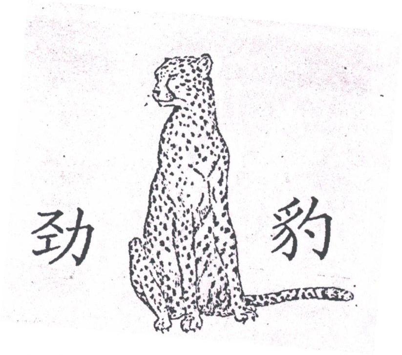 劲豹