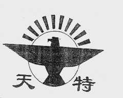 天特