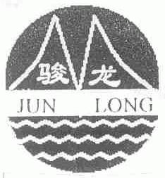 骏龙