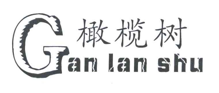 橄榄树