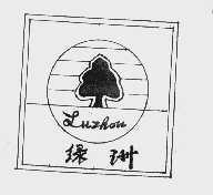 绿洲