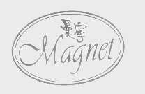 曼宁   MAGNET
